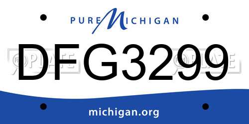 DFG3299 Michigan License Plate