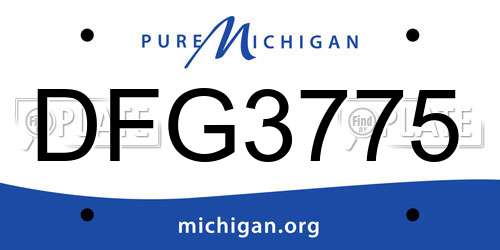 DFG3775 Michigan License Plate