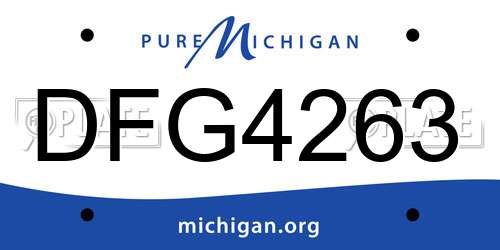 DFG4263 Michigan License Plate