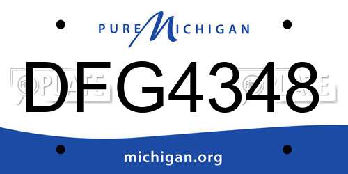 DFG4348 Michigan License Plate