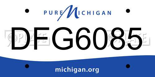 DFG6085 Michigan License Plate