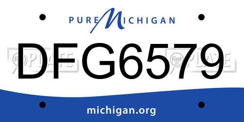 DFG6579 Michigan License Plate