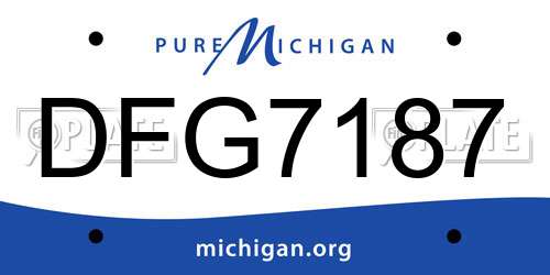DFG7187 Michigan License Plate