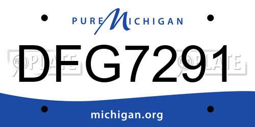 DFG7291 Michigan License Plate