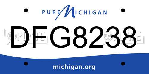 DFG8238 Michigan License Plate