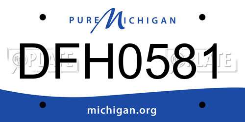 DFH0581 Michigan License Plate