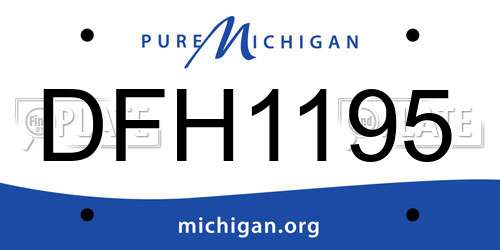 DFH1195 Michigan License Plate