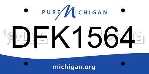 DFK1564 Michigan License Plate