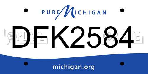 DFK2584 Michigan License Plate