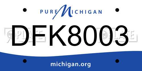 DFK8003 Michigan License Plate