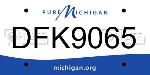 DFK9065 Michigan License Plate