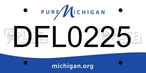DFL0225 Michigan License Plate
