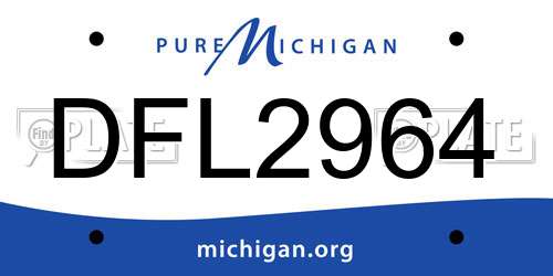 DFL2964 Michigan License Plate