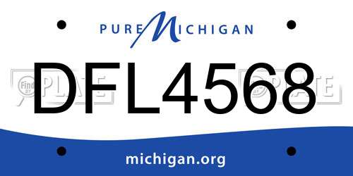 DFL4568 Michigan License Plate