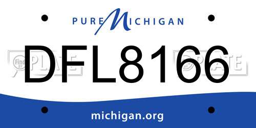 DFL8166 Michigan License Plate