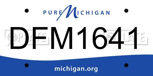 DFM1641 Michigan License Plate