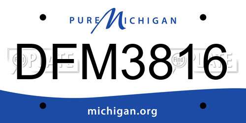 DFM3816 Michigan License Plate