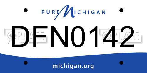 DFN0142 Michigan License Plate