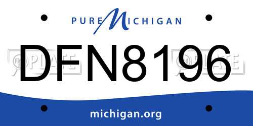 DFN8196 Michigan License Plate
