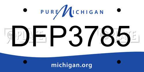 DFP3785 Michigan License Plate