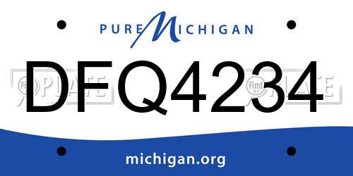 DFQ4234 Michigan License Plate