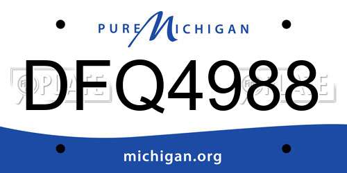 DFQ4988 Michigan License Plate