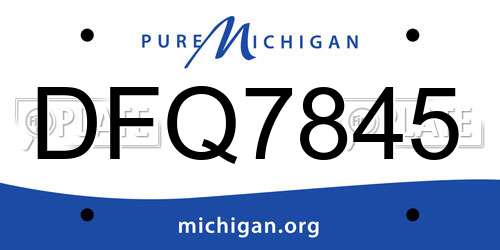 DFQ7845 Michigan License Plate