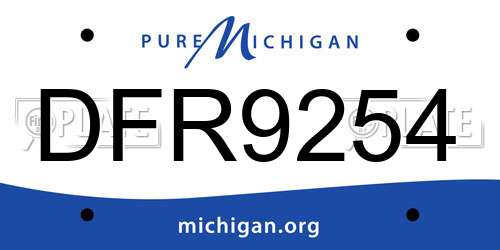 DFR9254 Michigan License Plate