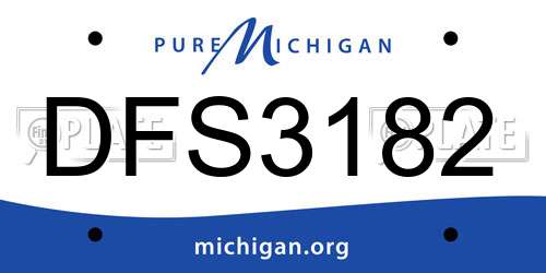 DFS3182 Michigan License Plate