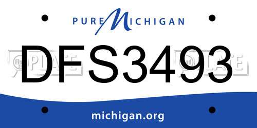 DFS3493 Michigan License Plate