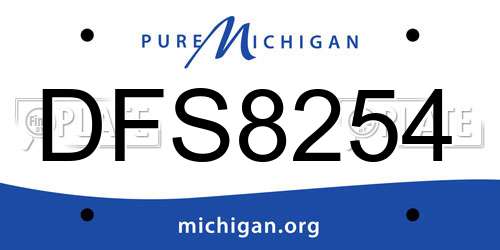 DFS8254 Michigan License Plate