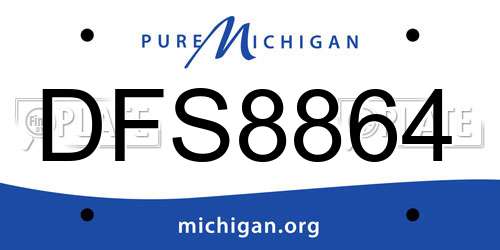 DFS8864 Michigan License Plate