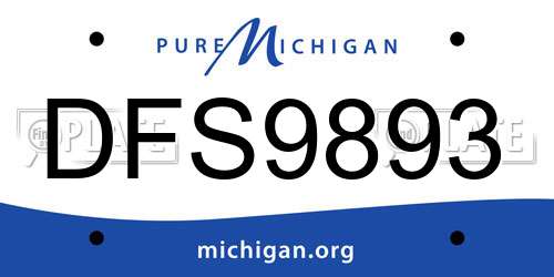 DFS9893 Michigan License Plate