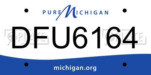 DFU6164 Michigan License Plate