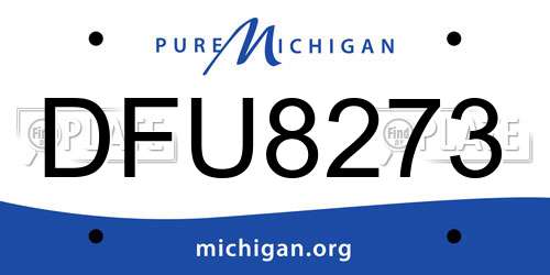 DFU8273 Michigan License Plate
