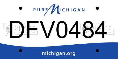 DFV0484 Michigan License Plate