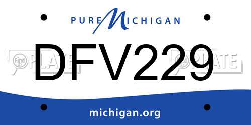 DFV229 Michigan License Plate