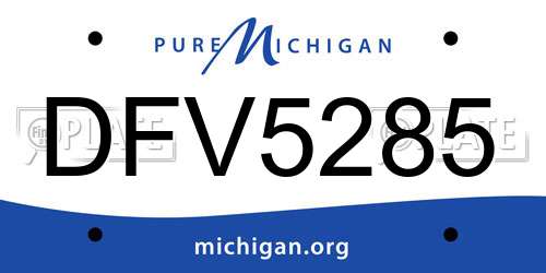 DFV5285 Michigan License Plate