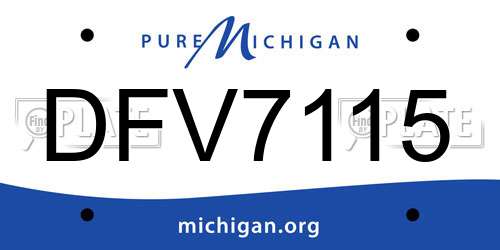 DFV7115 Michigan License Plate