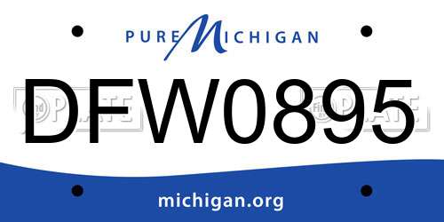 DFW0895 Michigan License Plate