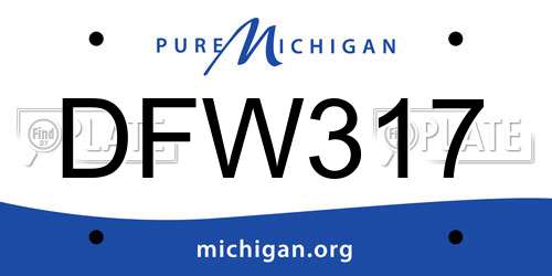 DFW317 Michigan License Plate