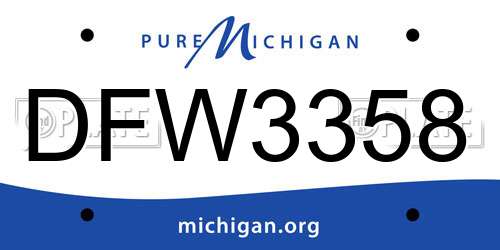 DFW3358 Michigan License Plate