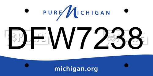 DFW7238 Michigan License Plate