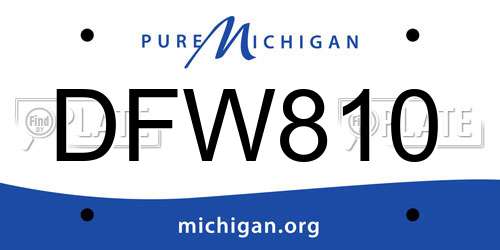 DFW810 Michigan License Plate