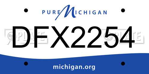 DFX2254 Michigan License Plate