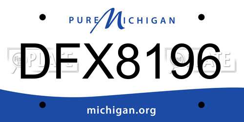 DFX8196 Michigan License Plate