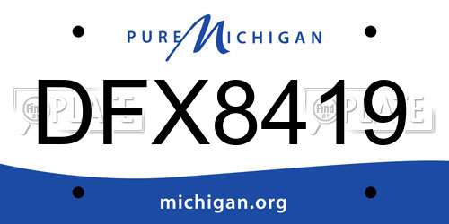DFX8419 Michigan License Plate