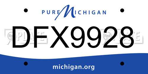DFX9928 Michigan License Plate
