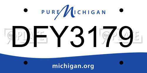 DFY3179 Michigan License Plate