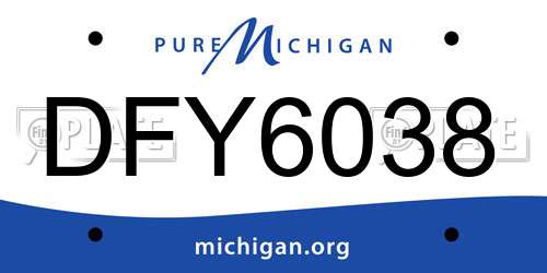 DFY6038 Michigan License Plate